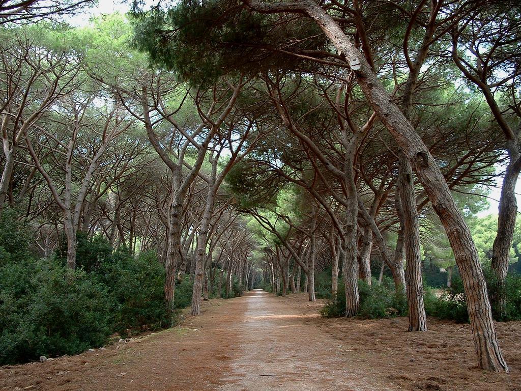 Villa Casale Gli Ulivi Orbetello Exterior foto
